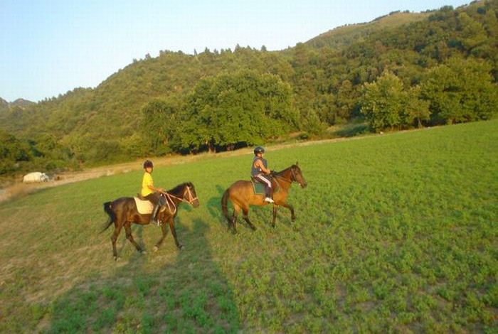 Hotel Akti Nafpaktos - Routes to Nature Image 04